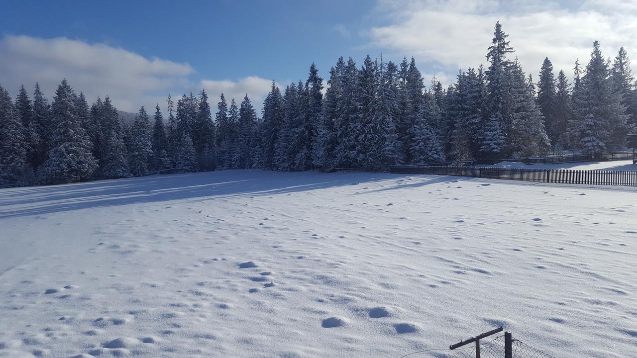Bed and Breakfast Lesne Zacisze Murzasichle Esterno foto